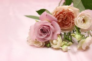 Shopping 20 商品名が入る商品名が入る商品名が入る商品名が入る商品名が入る